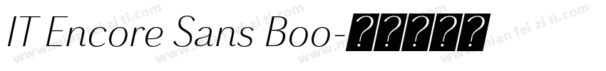 IT Encore Sans Boo字体转换